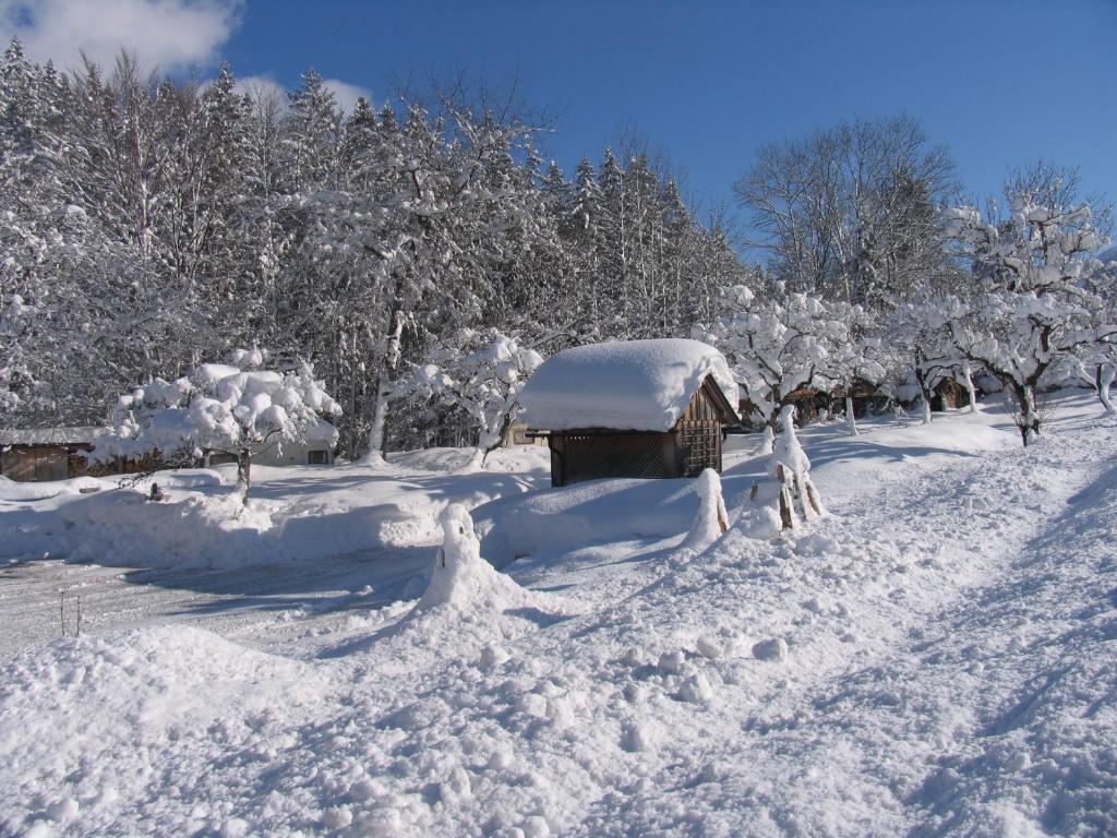 Gasthof Staud'Nwirt Bad Aussee Exteriér fotografie